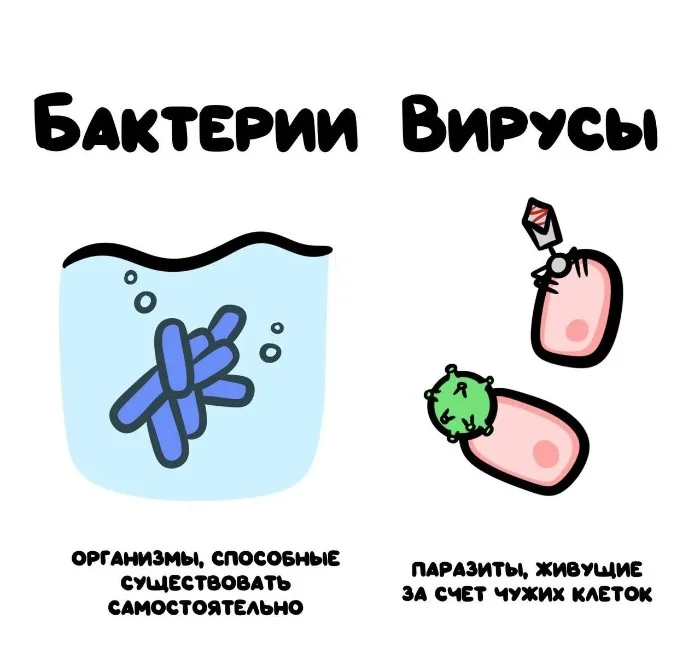 Знай разницу! Различий пост #70