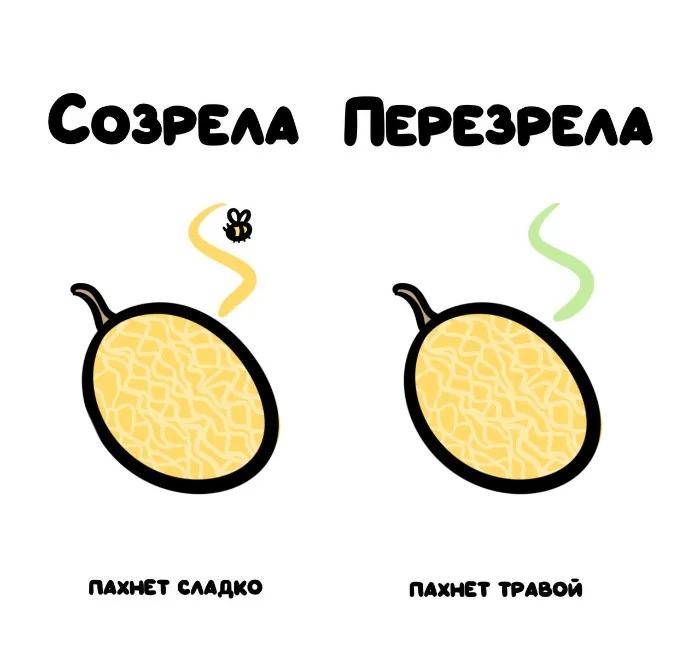 Знай разницу! Различий пост #75