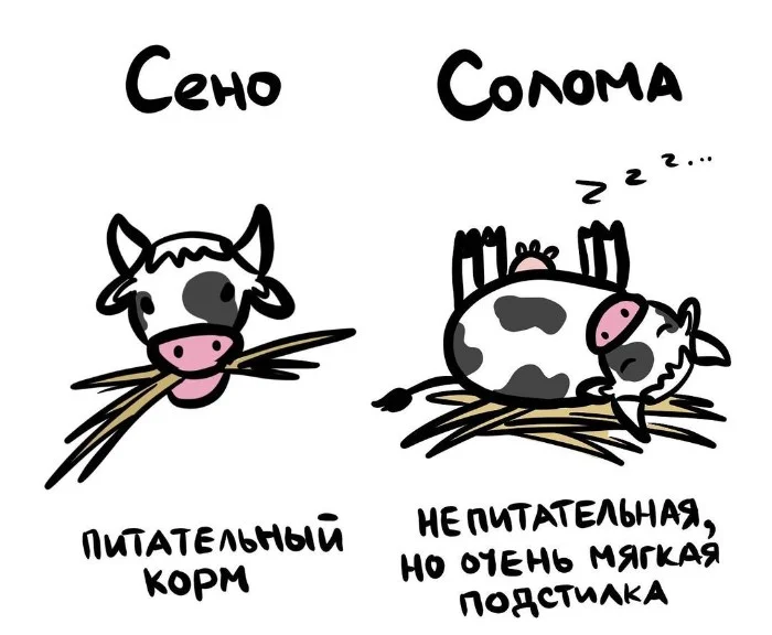 Знай разницу! Различий пост #78