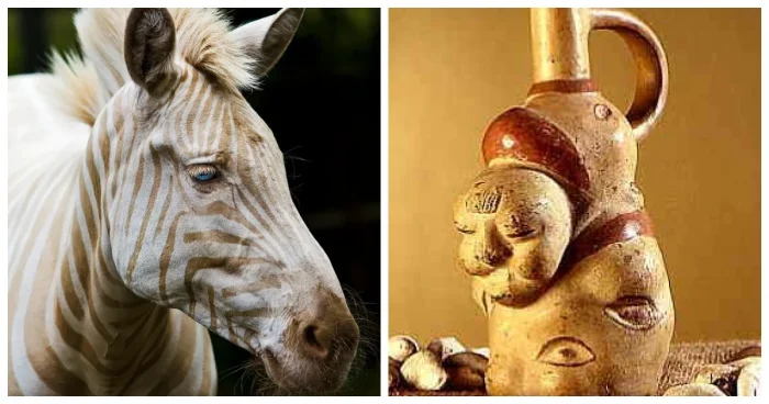 Неожиданные знания из повседневной жизни