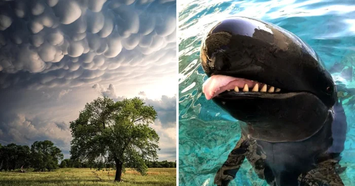 13 природных явлений, которые выглядят как шутка Вселенной