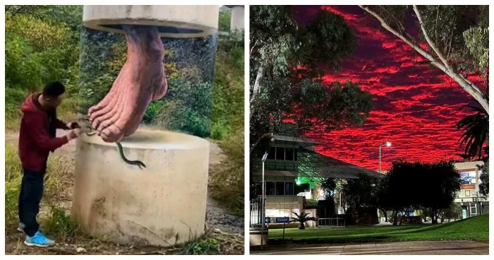 Удивительное рядом: 13 фото самых необычных моментов