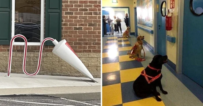 Когда в поликлинике становится страшно... и неожиданно интересно