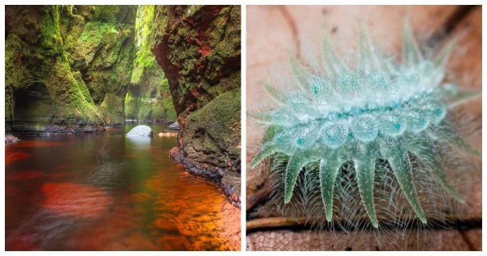 15 невероятных чудес природы, будто из сказки