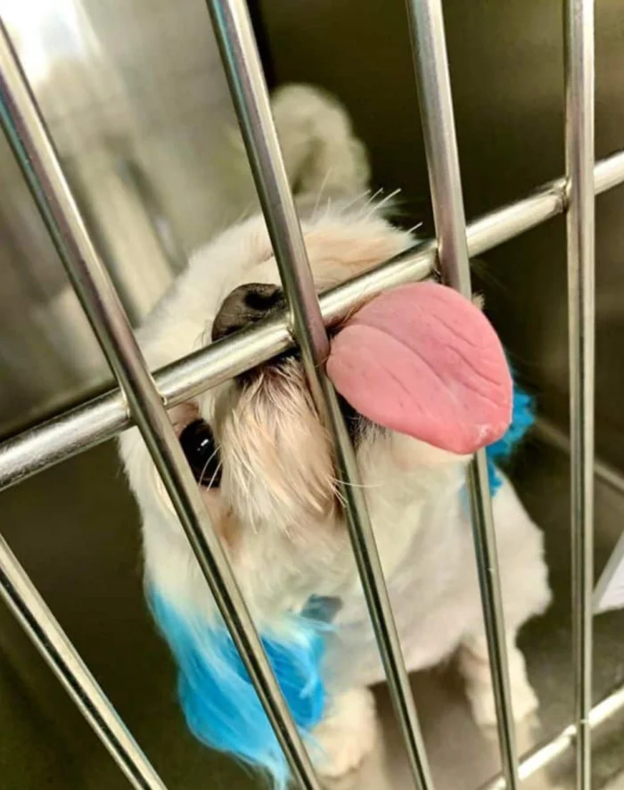 16 кадров, которые дают представление о том, как работают другие