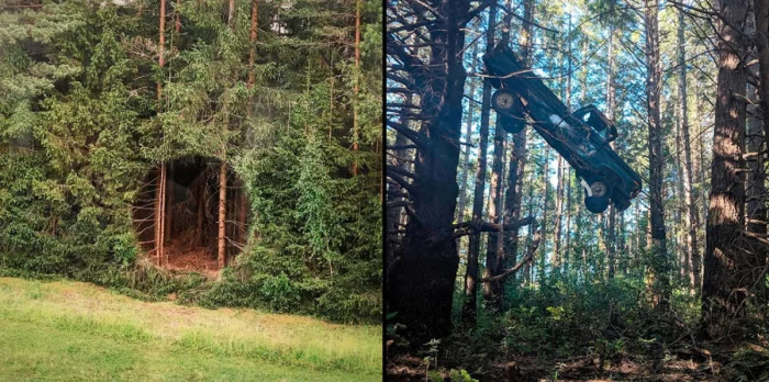 16 находок, которые можно внезапно встретить в обычном лесу
