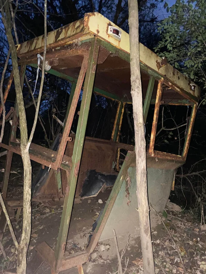 16 находок, которые можно внезапно встретить в обычном лесу