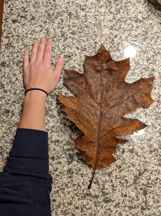 Контрасты, говорящие сами за себя: 16 впечатляющих примеров