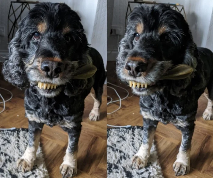 17 случаев, когда реальность страшнее любого хоррора