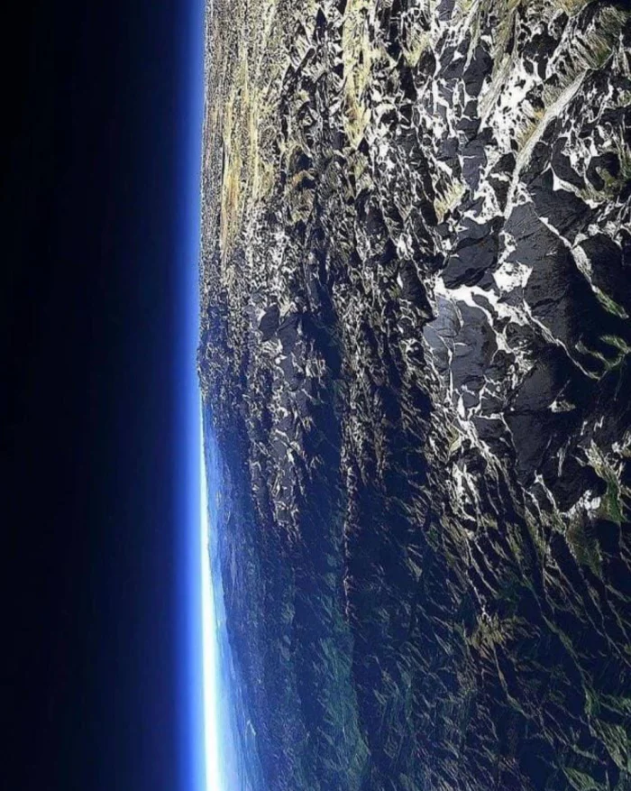 Когда звери удивляют: 17 снимков с другой стороны природы