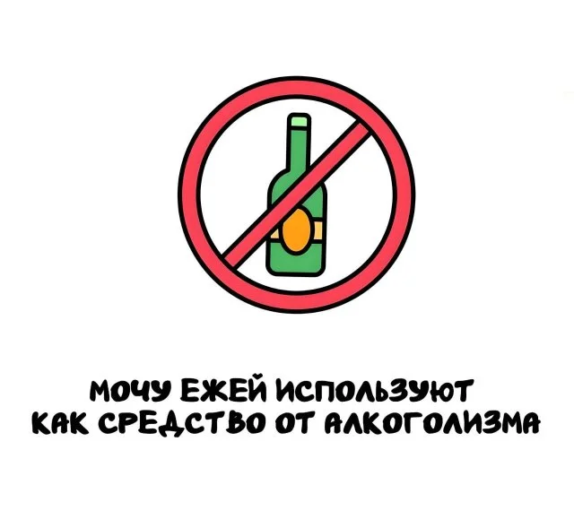 Универсальные факты, которые удивят в любой ситуации