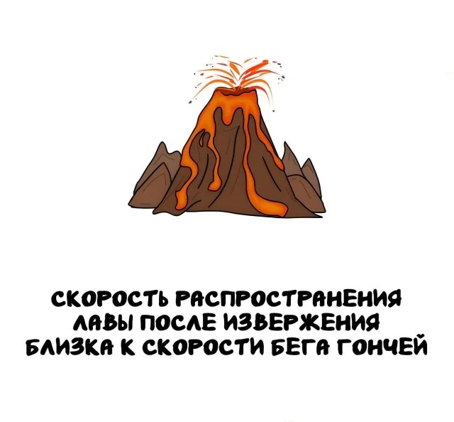 Факты, которые пригодятся в любой ситуации