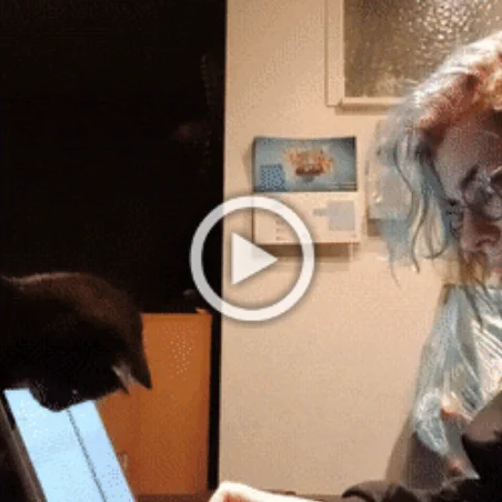 Разнообразные ГИФки #45