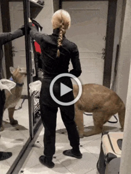 Разнообразные ГИФки #55