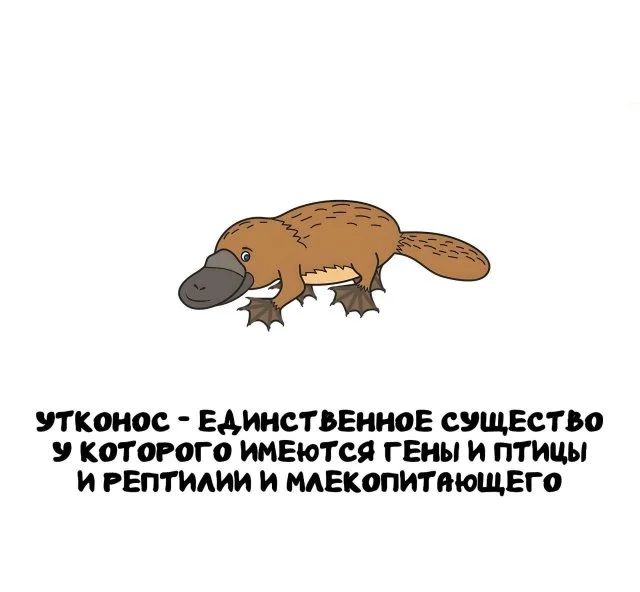 Факты, которые пригодятся в любой ситуации