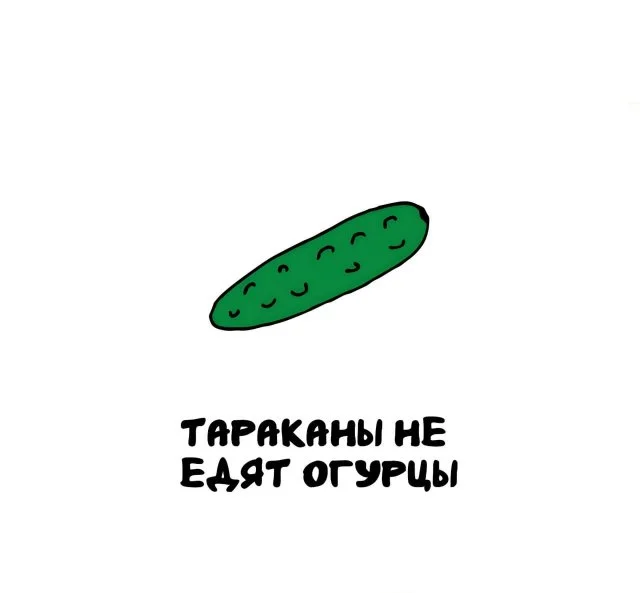 Необычные факты для всех и каждого