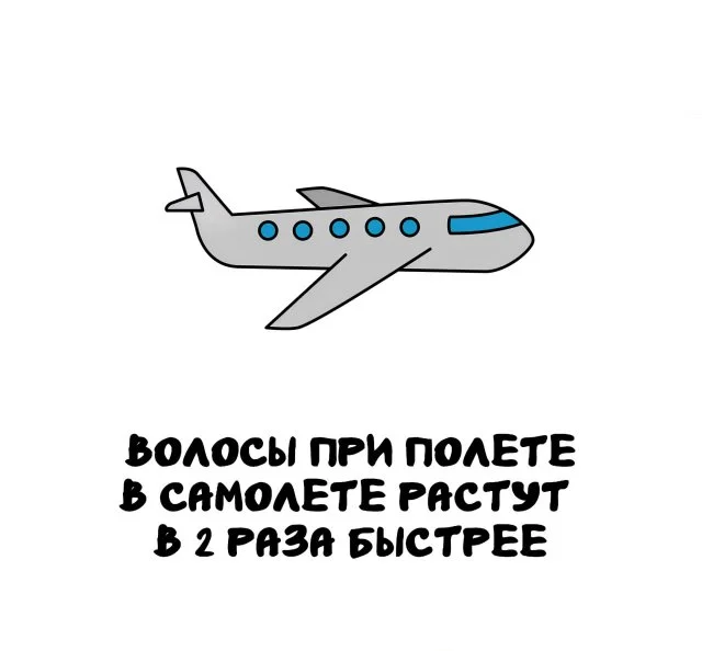 Факты, которые вас удивят в любой момент