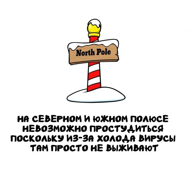 Необычные факты для всех и каждого