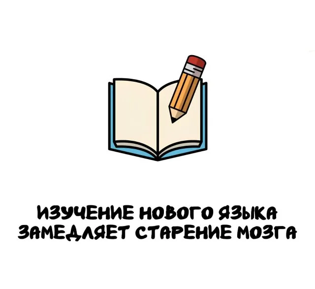 Необычные факты для всех и каждого