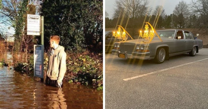 20 странных фотографий, на которые можно смотреть и только удивляться: что тут творится?