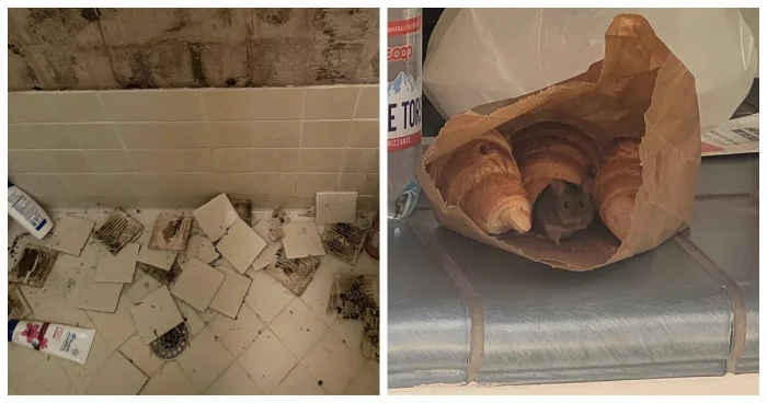 Когда жизнь — одно большое “ну за что?”