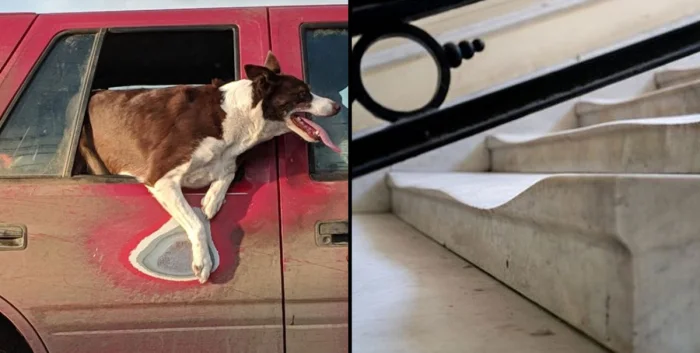 Неумолимое время в кадре: 20 фотографий до и после