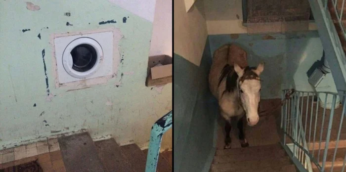 Когда заходишь и офигеваешь: 20 необычных историй из российских подъездов