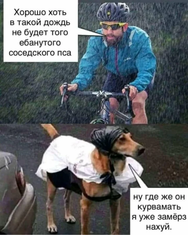 Приколы, которые нужно посмотреть