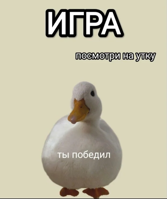 Пришло время смеяться: Прикольные картинки