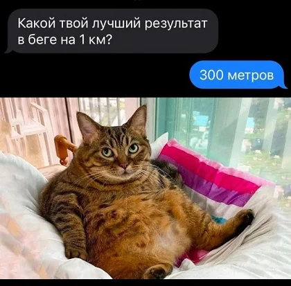 Немного картинок