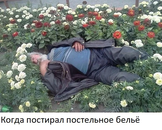 Чутка картинок