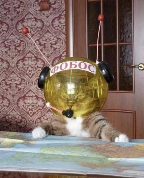 Ржачные картинки