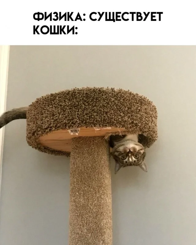 Ржачные картинки