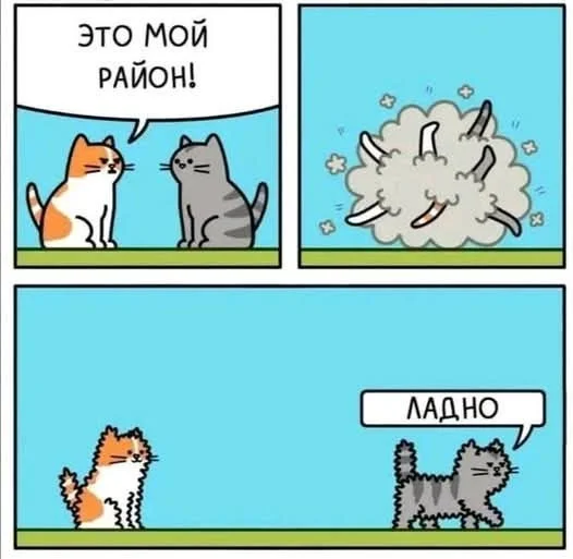 Приколы, чтобы улыбнуться