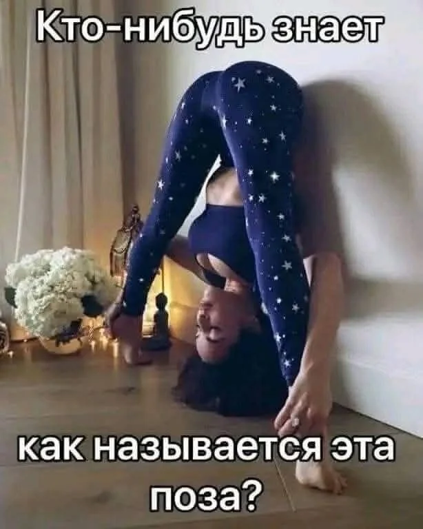 Прикольные картинки - свежо и хорошо!