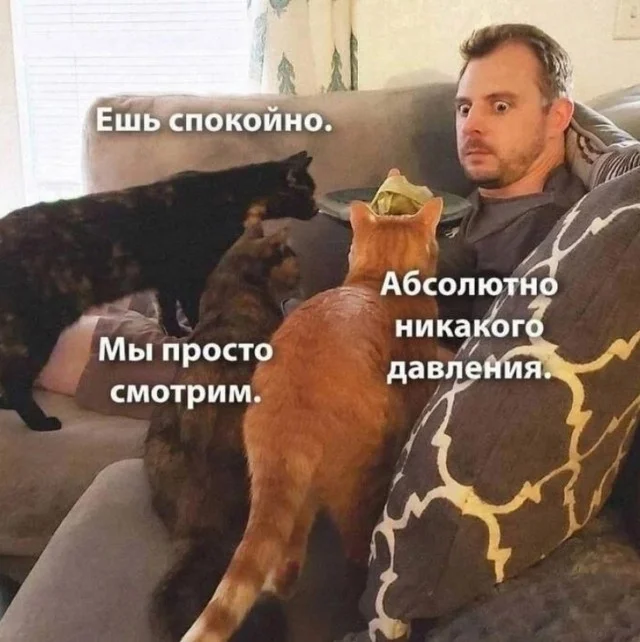 Юмор, что надо!