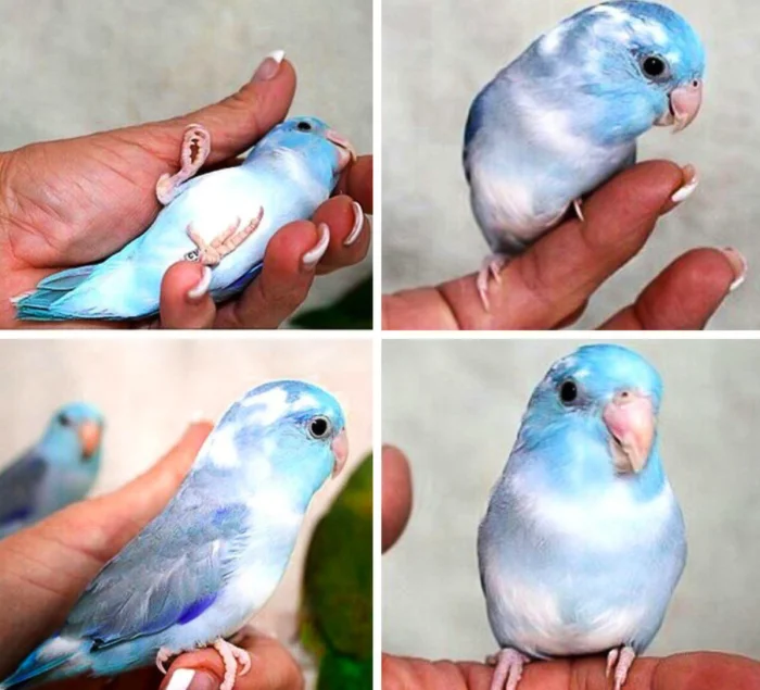 23 ярких доказательства, что природа — лучший художник