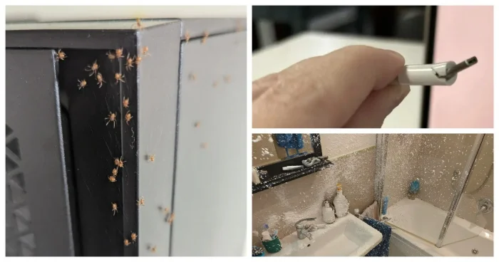 30+ неожиданных моментов, когда жизнь дала под дых