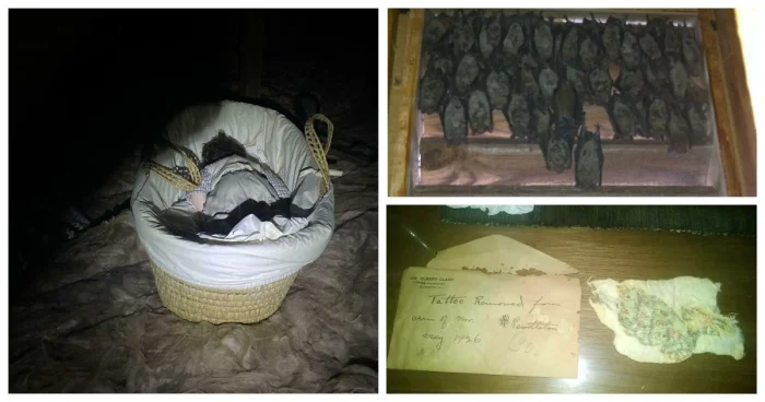 Переехали — и пожалели: 30 страшных вещей, найденных в новом жилье