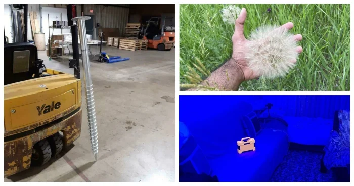 30 настоящих фотографий, в правдоподобие которых трудно поверить