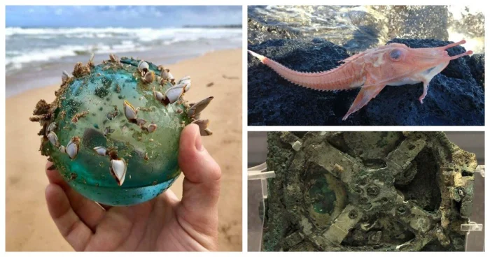 30 невероятных моментов, когда океан поразил всех