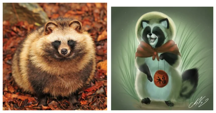 Что скрывают тануки: 8 малоизвестных фактов о мистических существах