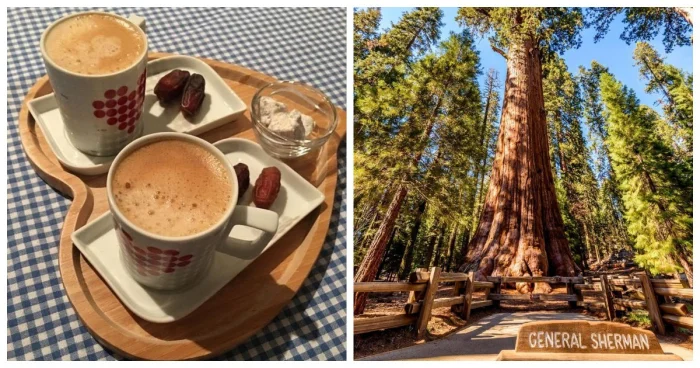 Необычные открытия: 9 фактов, которые помогут лучше понять наш мир