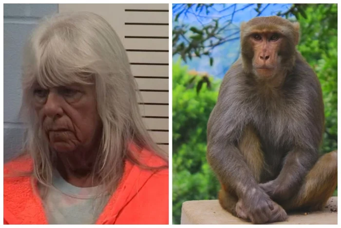 Приёмная мать из Америки арестована по подозрению в обмене дочери на обезьяну