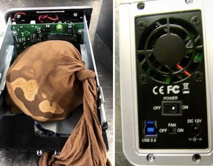 Странные находки: что конфискуют у путешественников в США