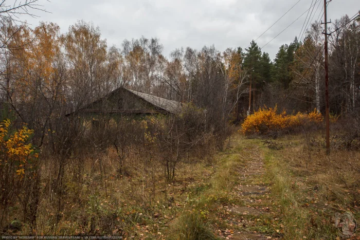 Осень, тишина и прошлое: прогулка по заброшенному пионерлагерю