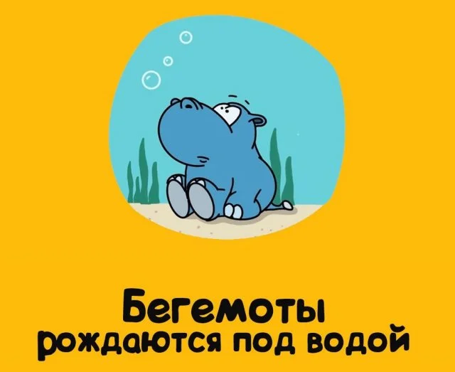 Как удивить всех: приколы, которые станут вашим козырем в компании