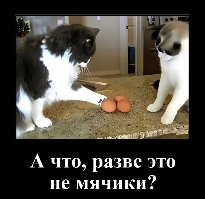 Демотиваторов порция