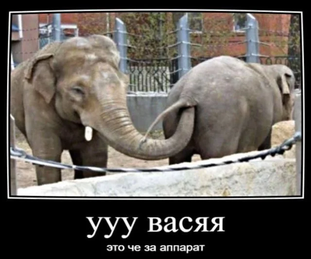 Веседые демотиваторы