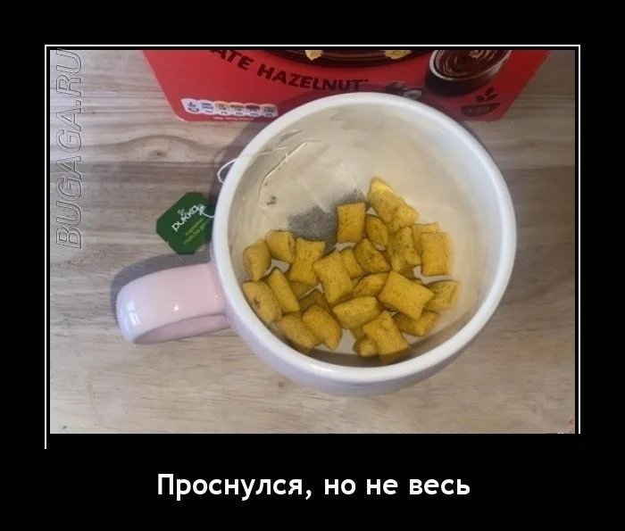 Демотиваторы для всех